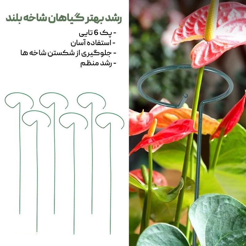 میله نگهدارنده گل و گیاه 6 عددی کال شاپ تی وی